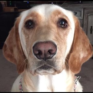 Meet your Posher, Jessica